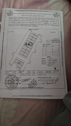 ባህርዳር አባይ ማዶ ከአዲሱ 150ካሬ ባዶ ቦታ