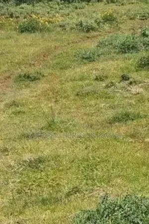 ባህርዳር አባይ ማዶ ከአዲሱ 150ካሬ ባዶ ቦታ