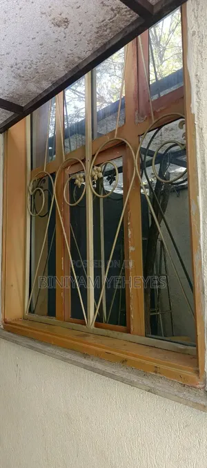 Metallic Window Door
