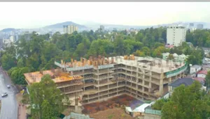 የንግድ ሱቅ ሽያጭ