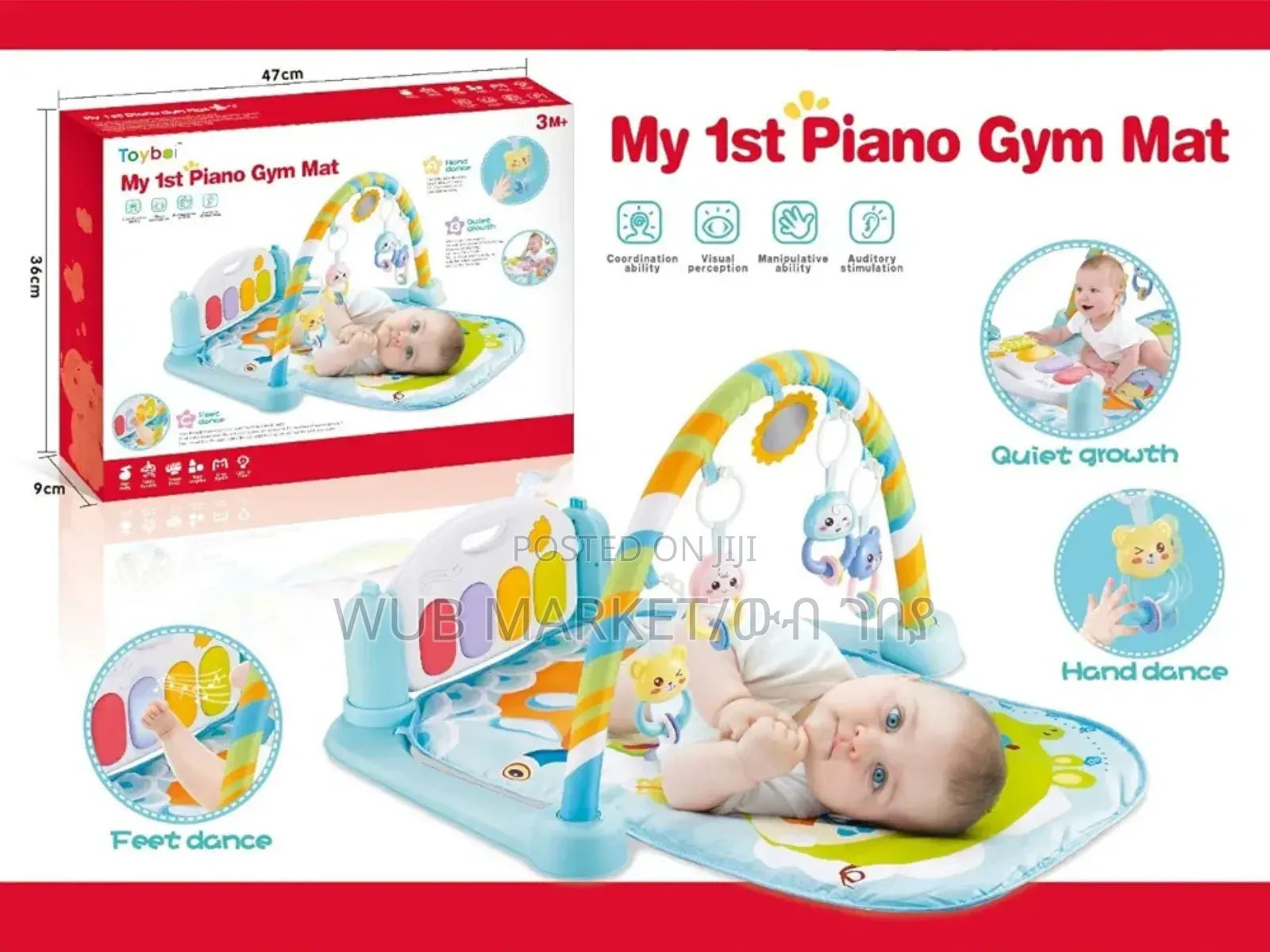 Piano Gym Mat-5 in 1