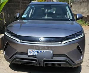 New BYD Yuan Up 45 kWh FWD 2024 Gray