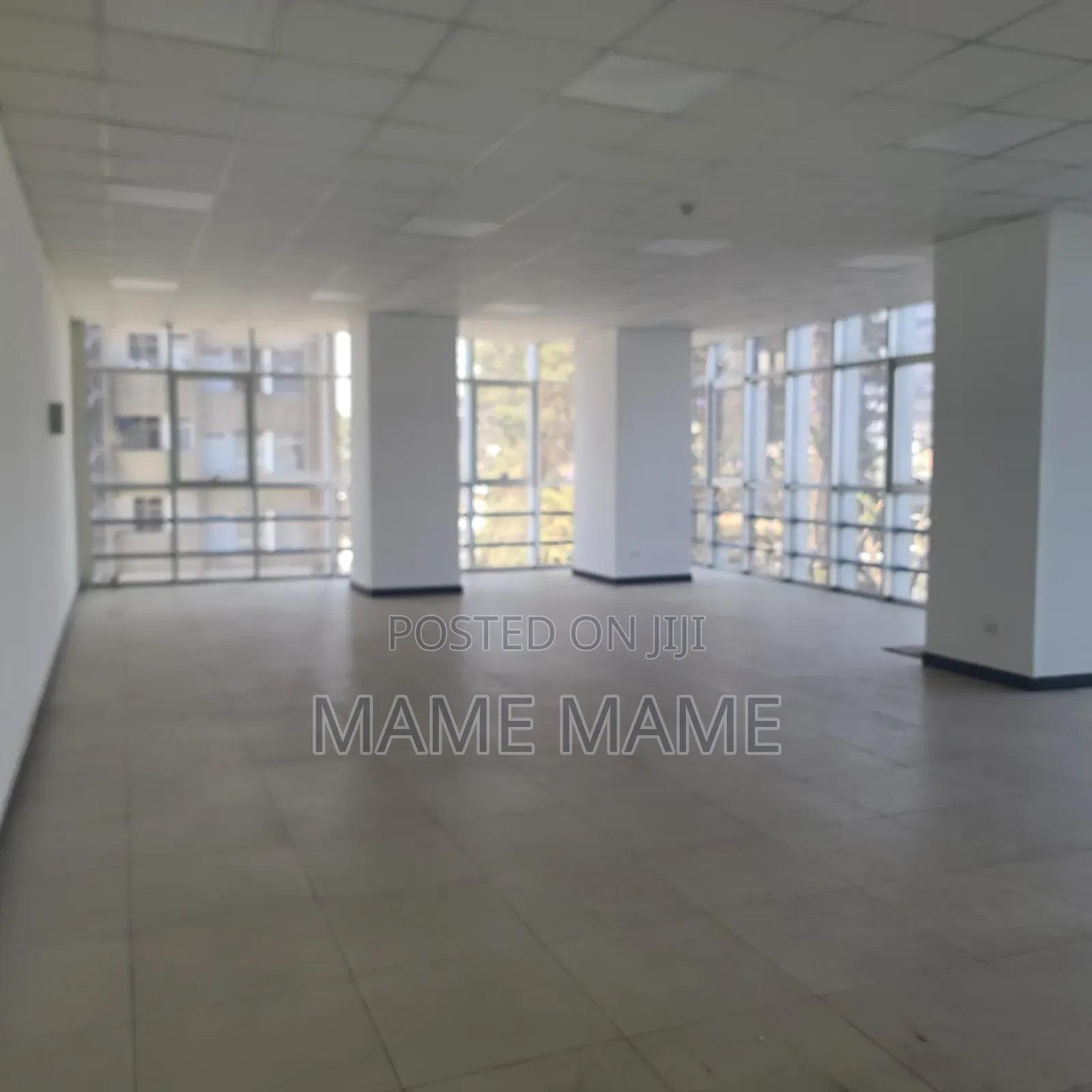 Shopping Center for Rent