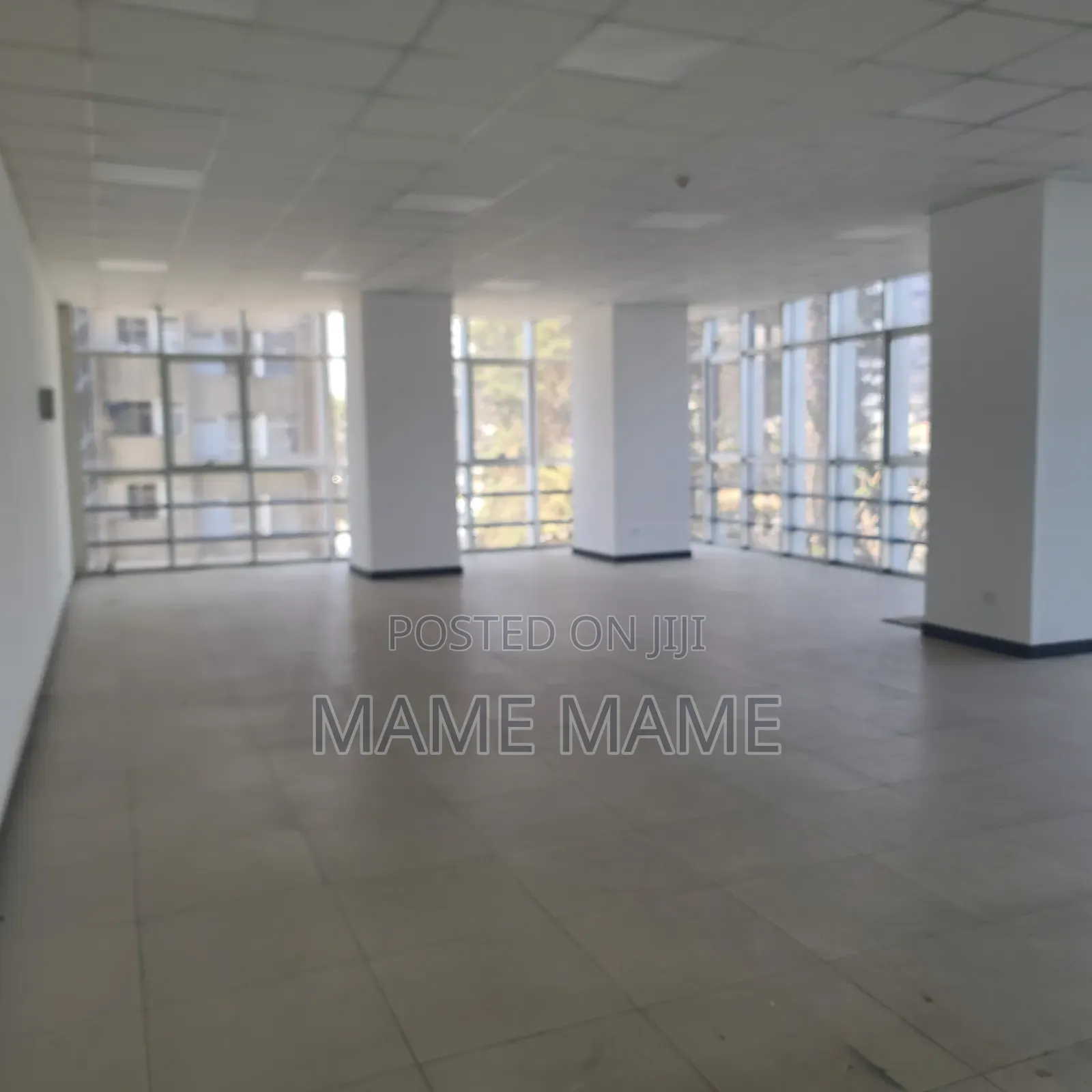 Shopping Center for Rent