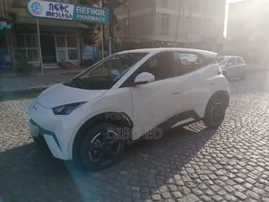 New BYD Seagull 38 kWh FWD 2024 Ivory