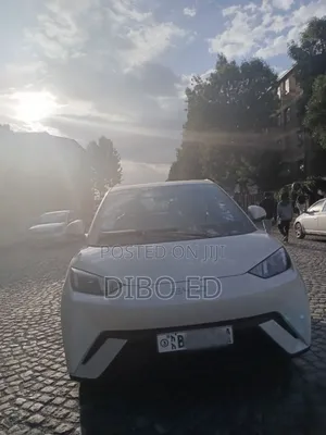 New BYD Seagull 38 kWh FWD 2024 Ivory