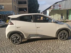 New BYD Seagull 38 kWh FWD 2024 Ivory