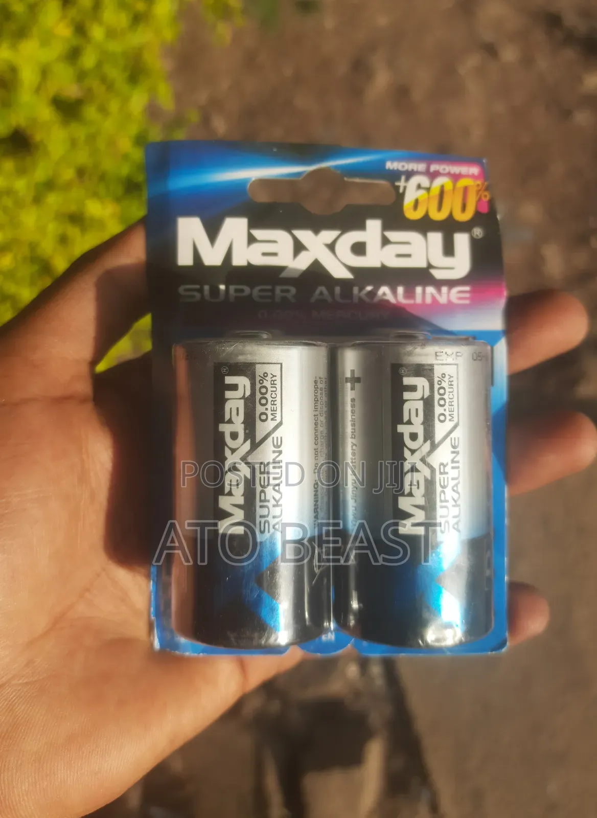 Maxday Brand D Size Alkaline Batteries