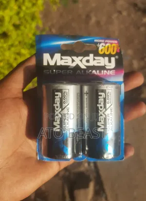 Maxday Brand D Size Alkaline Batteries