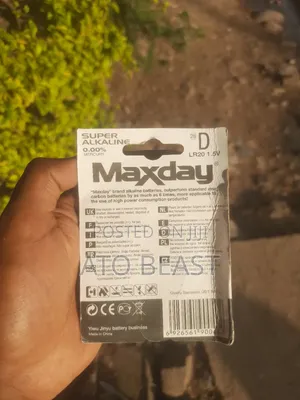 Maxday Brand D Size Alkaline Batteries