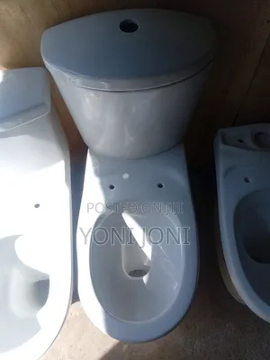 Aqua Toilet Seat Sink