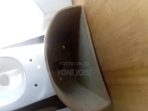 Aqua Toilet Sink