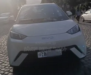 BYD Seagull 38 kWh FWD 2024 White