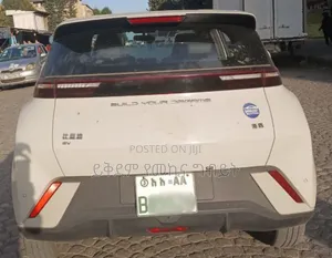 BYD Seagull 38 kWh FWD 2024 White