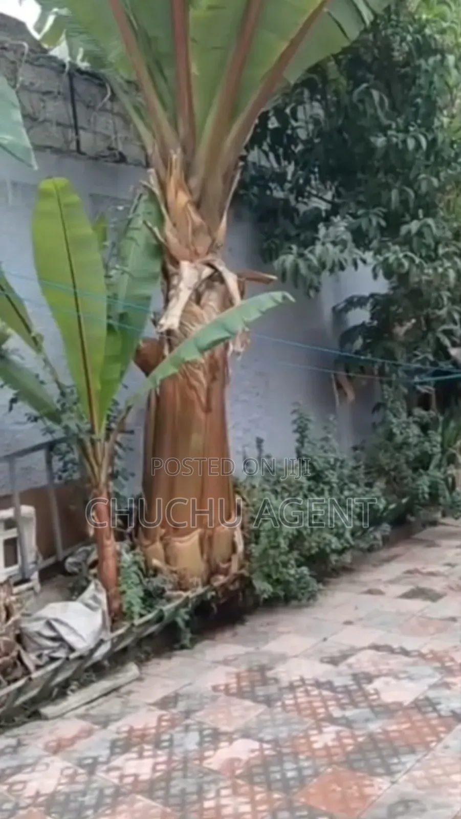 3bdrm House in Bole for sale