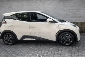 New BYD Seagull 2024 Silver