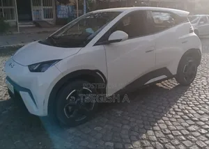 New BYD Seagull 2024 Silver