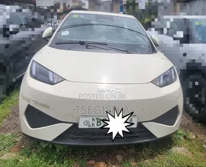 New BYD Seagull 2024 Silver