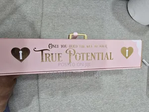 P. Louise Unlock Your Creativity Pressed Pigment Palette.