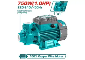 Total Water Pump 1hp