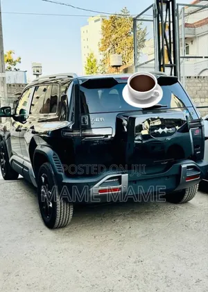 New BYD Leopard 3 2025 Black