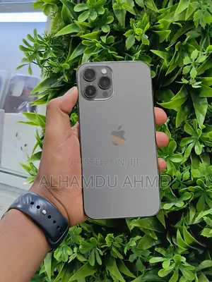 Apple iPhone 12 Pro Max 256 GB