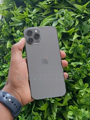 Apple iPhone 12 Pro Max 256 GB