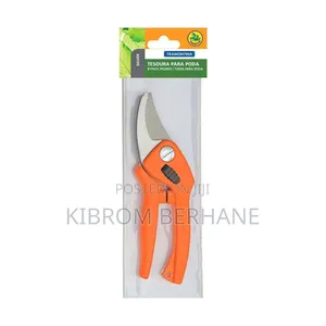 Pruning Scissors