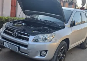 Toyota RAV4 2009 Silver