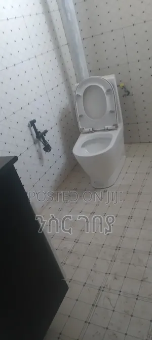 Furnished 2bdrm Condo in Ayat 49, 40/60, Yeka for rent