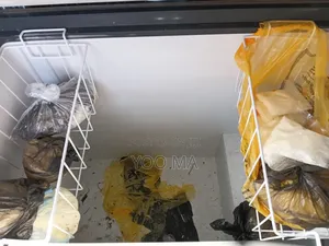 Westpoint Deep Freezer