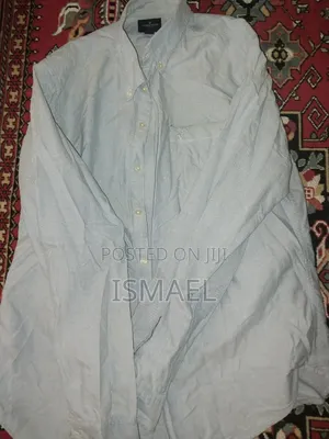 Original American Eagle Light Blue Long Sleeve Shirt