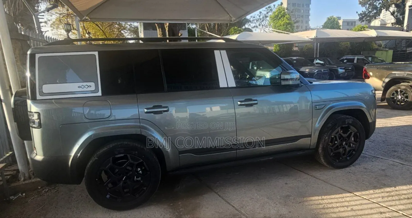 New BYD Leopard 7 2025 Green