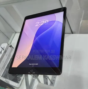 New Apple iPad 10.2 (2019) 256 GB Gray