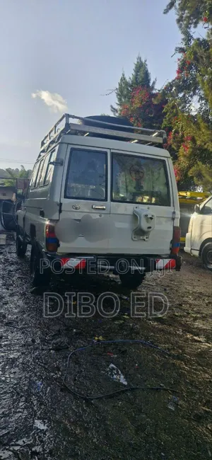 Toyota Land Cruiser 2002 White