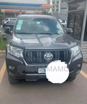 Toyota Land Cruiser 2019 Gray