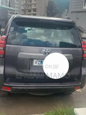 Toyota Land Cruiser 2019 Gray