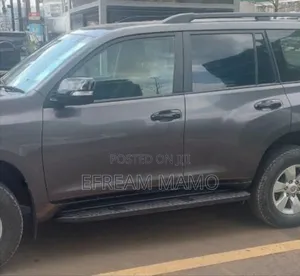 Toyota Land Cruiser 2019 Gray