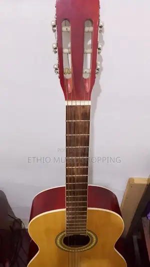 Daddario Classic Guitar
