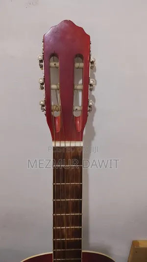 Daddario Classic Guitar