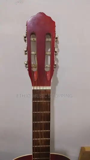 Daddario Classic Guitar