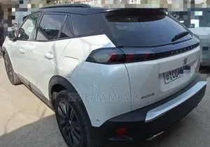 Peugeot 2008 2022 White