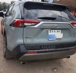 Toyota RAV4 2019 Gray