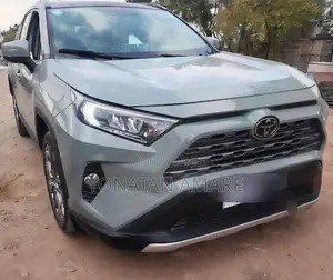 Toyota RAV4 2019 Gray