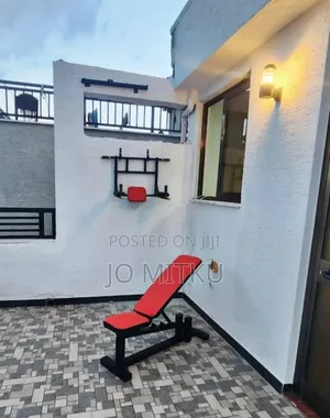 Pull Up ,Dip ,Abs And Punching Bag Attachment