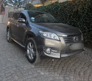 Toyota RAV4 2.5 4x4 2011 Brown
