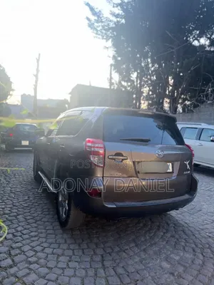 Toyota RAV4 2.5 4x4 2011 Brown