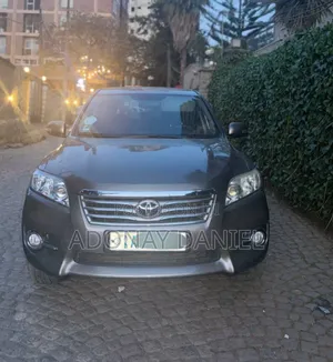 Toyota RAV4 2.5 4x4 2011 Brown