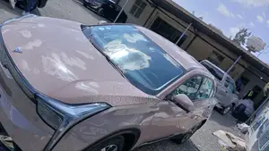 Hozon Neta U 2022 Pink