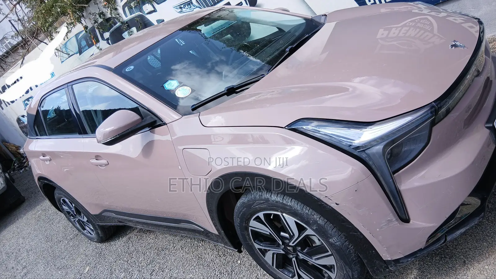 Hozon Neta U 2022 Pink